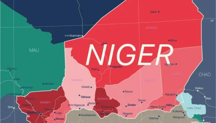 Niger dan Nigeria Menghadapi Tantangan Keamanan dan Ekonomi