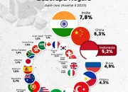 Pasar Negara Berkembang: Mencari Keseimbangan Antara Pertumbuhan Ekonomi dan Ketahanan