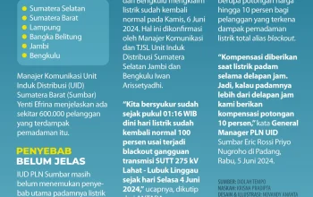 Pemadaman Listrik di Indonesia: Penyebab, Dampak, dan Tindakan Pencegahan