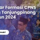 Pemerintah Kota Tanjungpinang Usulkan Formasi CPNS untuk Guru dan Tenaga Kesehatan