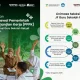 Pendaftaran PPPK Guru Sekolah Rakyat 2026: Informasi Terbaru dan Cara Mendaftar