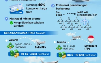 Penerbangan Domestik Mengalami Perubahan: Maskapai Berbiaya Murah dan Revisi Tarif Batas Atas