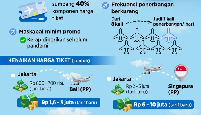 Penerbangan Domestik Mengalami Perubahan: Maskapai Berbiaya Murah dan Revisi Tarif Batas Atas