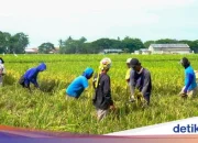 Peringatan 21 Juni dan 23 Juni: Mengenang Sejarah dan Mempromosikan Kesehatan