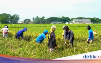 Peringatan 21 Juni dan 23 Juni: Mengenang Sejarah dan Mempromosikan Kesehatan