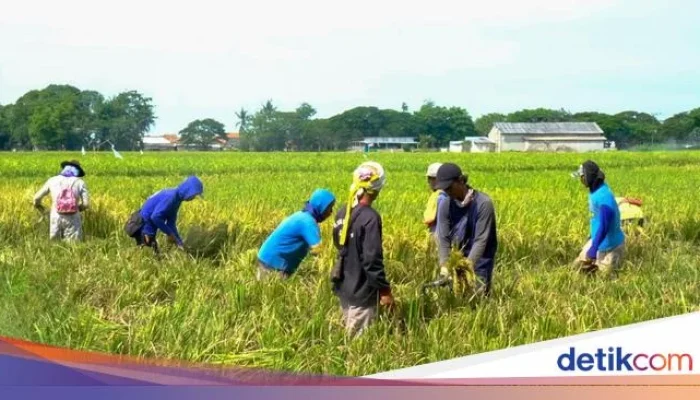 Peringatan 21 Juni dan 23 Juni: Mengenang Sejarah dan Mempromosikan Kesehatan