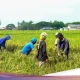 Peringatan 21 Juni dan 23 Juni: Mengenang Sejarah dan Mempromosikan Kesehatan