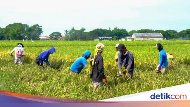 Peringatan 21 Juni dan 23 Juni: Mengenang Sejarah dan Mempromosikan Kesehatan