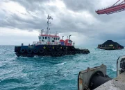 PLN Percepat Pengadaan Pasokan Batu Bara untuk Pembangkit Listrik