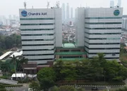 PT Chandra Asri Pacific Tbk: Dari Mimpi Arman Ramadan Hingga Dinamika Saham di Bursa