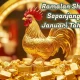 Ramalan Shio Ayam: Karier dan Keuangan Meningkat