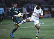 Santos vs Vitória: Gabigol Diusir dan Dikenakan Sanksi, Sementara Palmeiras Protes Kepada STJD