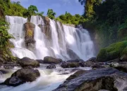 Sentul, Destinasi Liburan yang Menarik di Jawa Barat