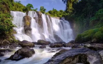 Sentul, Destinasi Liburan yang Menarik di Jawa Barat