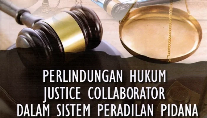 Sistem Hukum Pidana: Antara Perlindungan Hak dan Pemberatan Hukuman