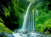 Taman Magenda: Destinasi Wisata Alam yang Menyuguhkan Keindahan Air Terjun dan Kolam Alami