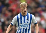 Tottenham Hotspur Sepakat Dengan Brighton Untuk Transfer Jan Paul van Hecke