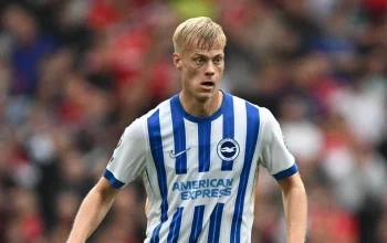 Tottenham Hotspur Sepakat Dengan Brighton Untuk Transfer Jan Paul van Hecke