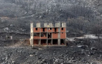 Aljazair Dilanda Kebakaran Hutan, Lebih dari 100 Orang Dirawat dan 150 Rumah Rusak