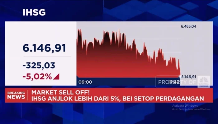 Anjloknya Harga Pangan dan IHSG: Dua Wajah Ekonomi Indonesia
