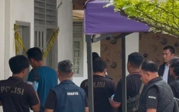 Bahia Mengalami Berbagai Peristiwa: Dari Kematian Influencer Hingga Upaya Penyelamatan Yahudi