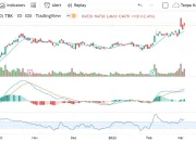 BBRI Raih Perhatian Investasi Strategis, Saham Merosot dan Naik