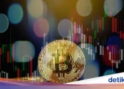 Berita Terkini: Dari Bitcoin Hingga Kematian Akibat Panas