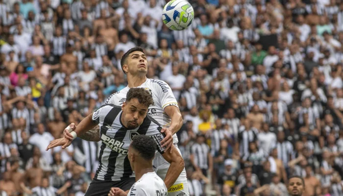 Botafogo VS Santos: Pertandingan Penuh Emosi di Brasileirão