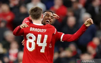 Bradley Barcola: Pemain Muda yang Diburu Liverpool dan Manchester United