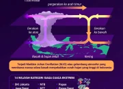Bucuresti Mengalami Perubahan: Dari Cuaca Ekstrem Hingga Perebutan Tempat di Universitas