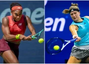 Coco Gauff Hadapi Tantangan Berat di Semifinal Wimbledon Melawan Karolina Muchova