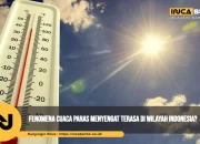 Cuaca Cerah dan Suhu Tinggi Melanda Indonesia dan Jepang
