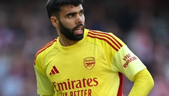 David Raya dan Rekrutmen Kiper di Arsenal: Dari Petr Cech hingga Illan Meslier