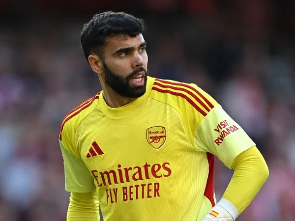 David Raya dan Rekrutmen Kiper di Arsenal: Dari Petr Cech hingga Illan Meslier