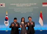 Diplomasi Ala Korea Selatan dan Dinamika Politik Indonesia