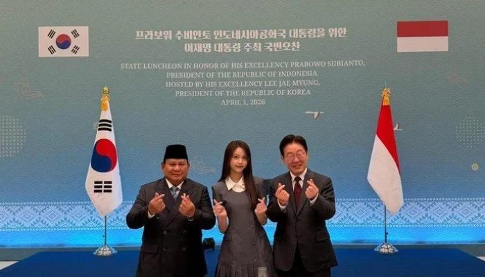 Diplomasi Ala Korea Selatan dan Dinamika Politik Indonesia