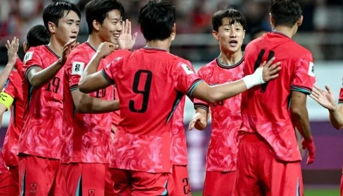 FC Seoul dan Dunia Sepak Bola: Dari Pertandingan ke Diplomasi