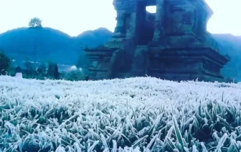Fenomena Embun Es di Dieng: Kerugian Miliaran Rupiah dan Rekomendasi Wisata