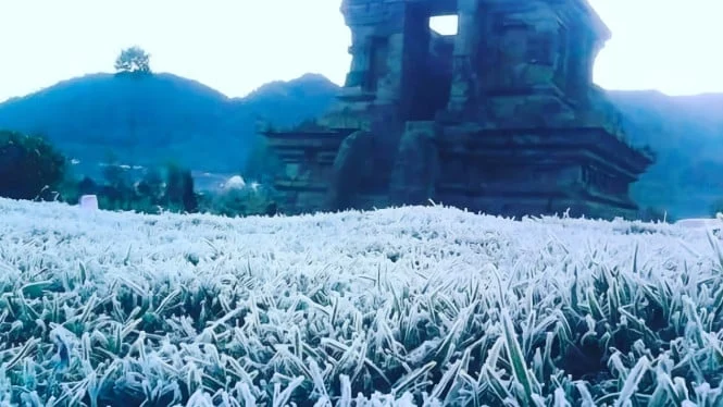 Fenomena Embun Es di Dieng: Kerugian Miliaran Rupiah dan Rekomendasi Wisata