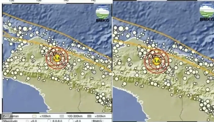 Gempa Bumi Mengguncang Indonesia: Jayapura dan Polewali Mandar Terkena Dampak