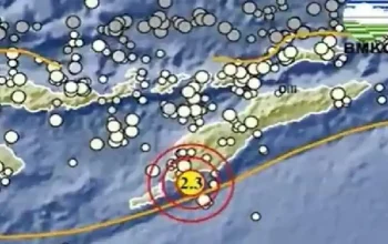 Gempa Bumi Mengguncang Kupang dan Wilayah Lainnya: Apa yang Terjadi?