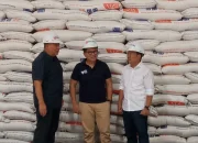 Harga Beras Stabil, Bulog Serap 3,5 Juta Ton Beras per Juli 2026
