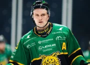 Ilves Tampere Mengalami Masa Sulit di Liga dan Mengganti Pelatih