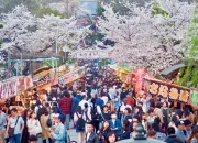 Jepang Mengalami Gempa, Festival Sakura Matsuri, dan Drama Baru: Berita Terkini