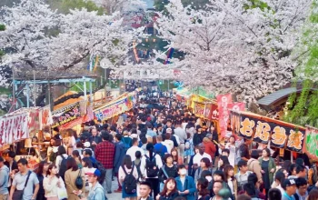 Jepang Mengalami Gempa, Festival Sakura Matsuri, dan Drama Baru: Berita Terkini