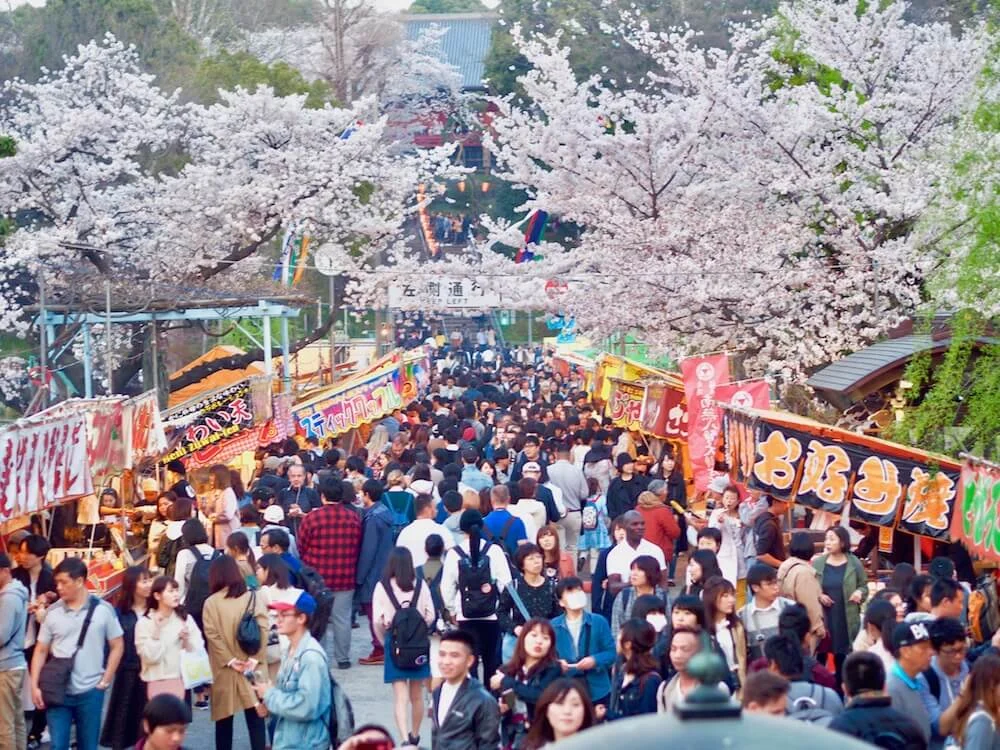 Jepang Mengalami Gempa, Festival Sakura Matsuri, dan Drama Baru: Berita Terkini