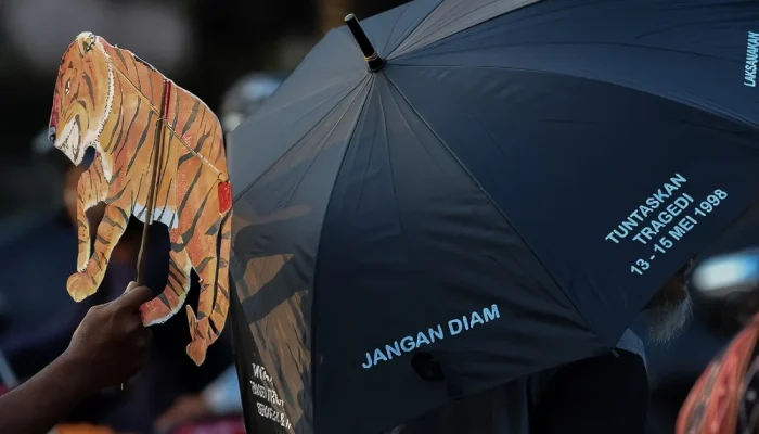 Kasus Video Hewan dan Keadilan Sosial: Dari Penindasan Hewan Hingga Pelanggaran HAM