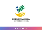 Kementerian Sosial Republik Indonesia: Upaya Pemulihan dan Perlindungan Masyarakat