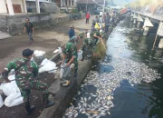 Kondisi Air Danau Batur Mulai Membaik, Namun Kematian Ikan Masih Terus Terjadi