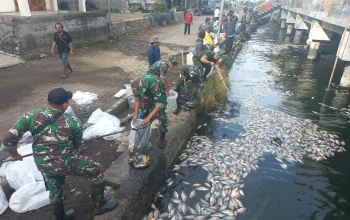 Kondisi Air Danau Batur Mulai Membaik, Namun Kematian Ikan Masih Terus Terjadi